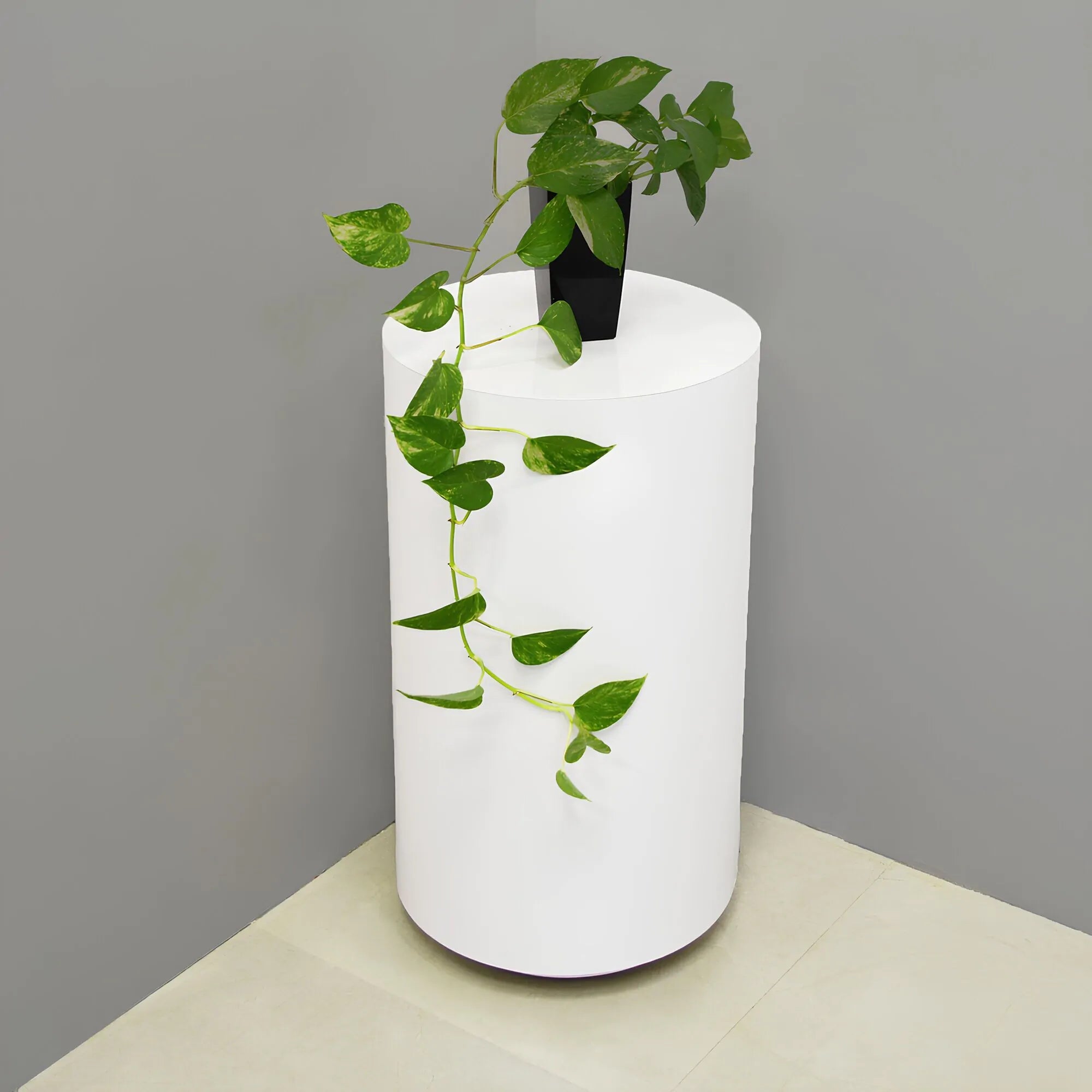16-inch Norfolk Round Lobby Pedestal Lobby Table in white matte laminate top and side table.
