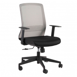 Axis Symmetry Study Buddy Office Chair